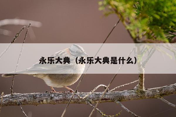 永乐大典（永乐大典是什么）