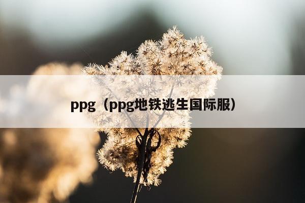 ppg（ppg地铁逃生国际服）