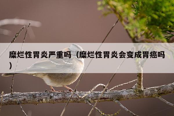 糜烂性胃炎严重吗（糜烂性胃炎会变成胃癌吗）