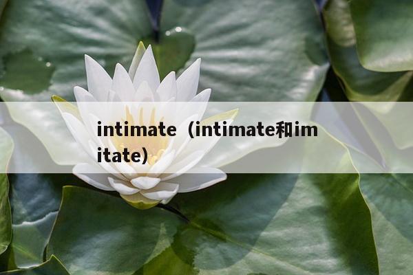 intimate（intimate和imitate）