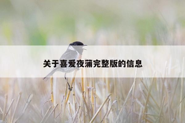 关于喜爱夜蒲完整版的信息