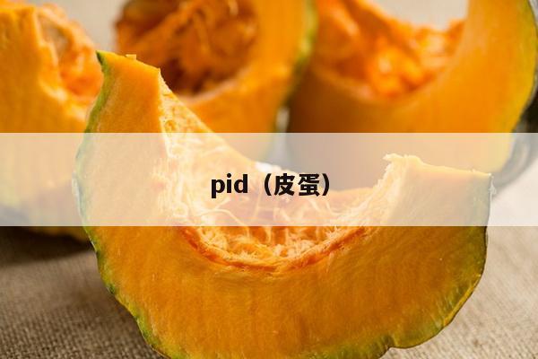 pid（皮蛋）