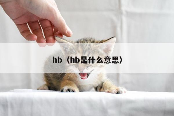 hb（hb是什么意思）