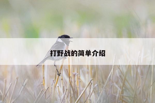 打野战的简单介绍