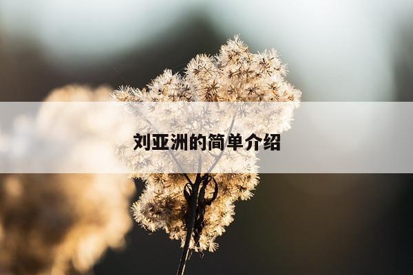 刘亚洲的简单介绍