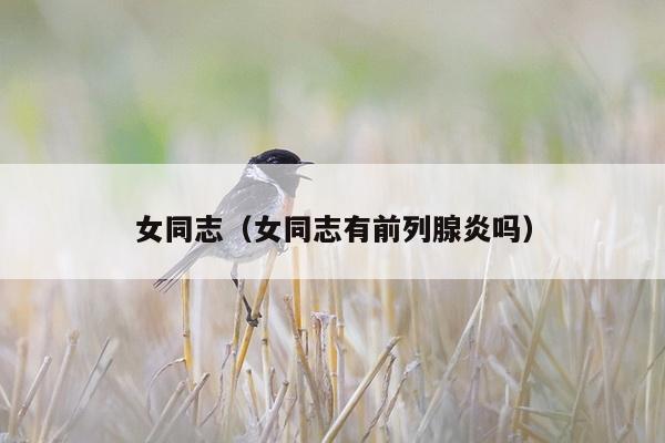 女同志（女同志有前列腺炎吗）