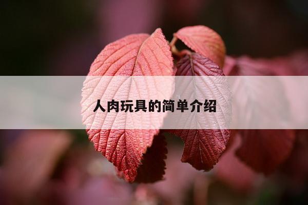 人肉玩具的简单介绍