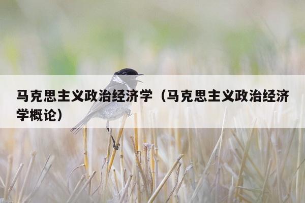 马克思主义政治经济学（马克思主义政治经济学概论）