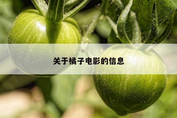 关于橘子电影的信息