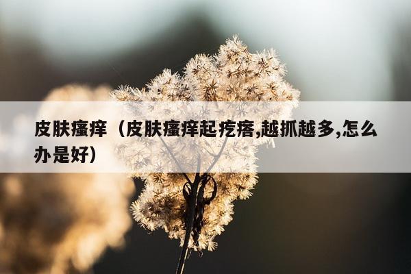 皮肤瘙痒（皮肤瘙痒起疙瘩,越抓越多,怎么办是好）