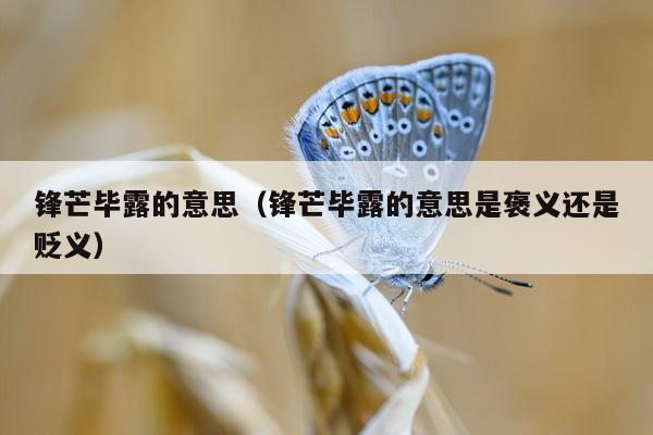 锋芒毕露的意思（锋芒毕露的意思是褒义还是贬义）