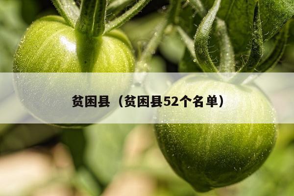 贫困县（贫困县52个名单）