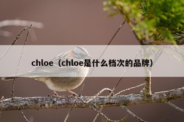 chloe（chloe是什么档次的品牌）