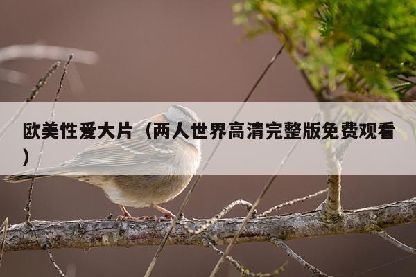 欧美性爱大片（两人世界高清完整版免费观看）