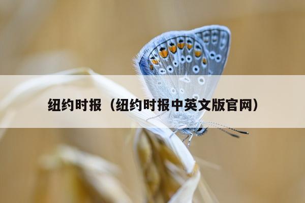 纽约时报（纽约时报中英文版官网）