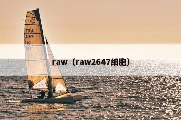 raw（raw2647细胞）