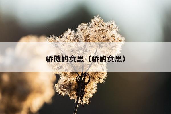 骄傲的意思（骄的意思）