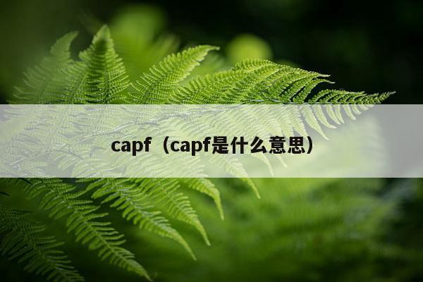 capf（capf是什么意思）