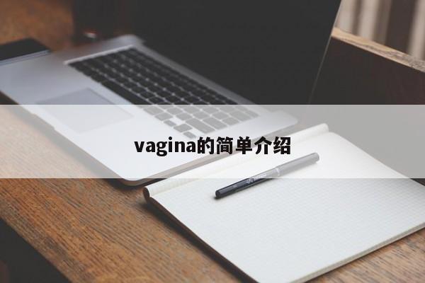 vagina的简单介绍