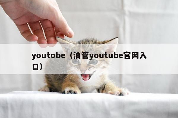 youtobe（油管youtube官网入口）