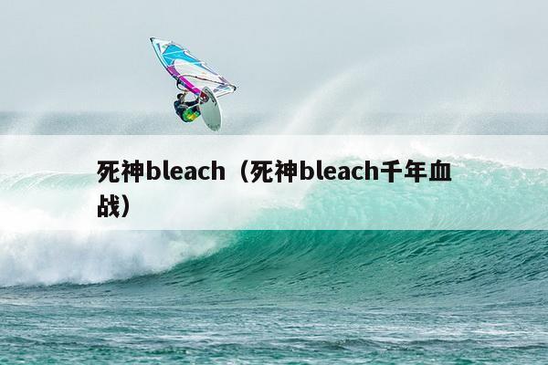 死神bleach（死神bleach千年血战）