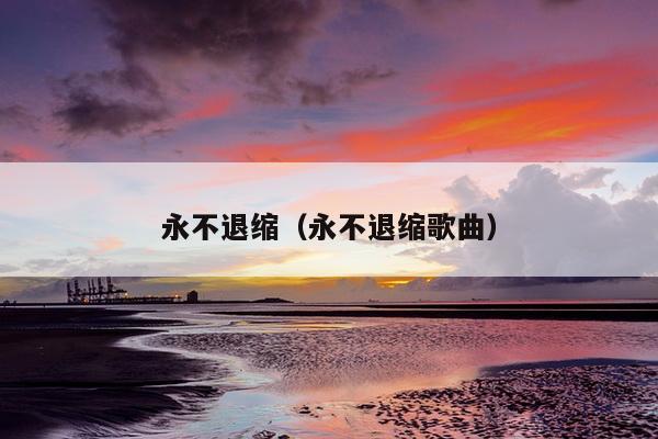 永不退缩（永不退缩歌曲）