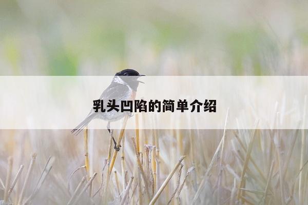 乳头凹陷的简单介绍