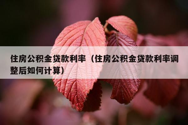 住房公积金贷款利率（住房公积金贷款利率调整后如何计算）