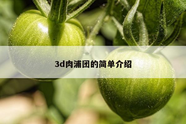 3d肉浦团的简单介绍