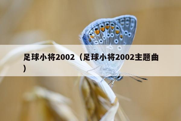 足球小将2002（足球小将2002主题曲）