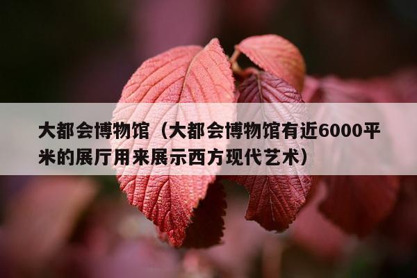 大都会博物馆（大都会博物馆有近6000平米的展厅用来展示西方现代艺术）