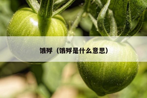 饿殍（饿殍是什么意思）