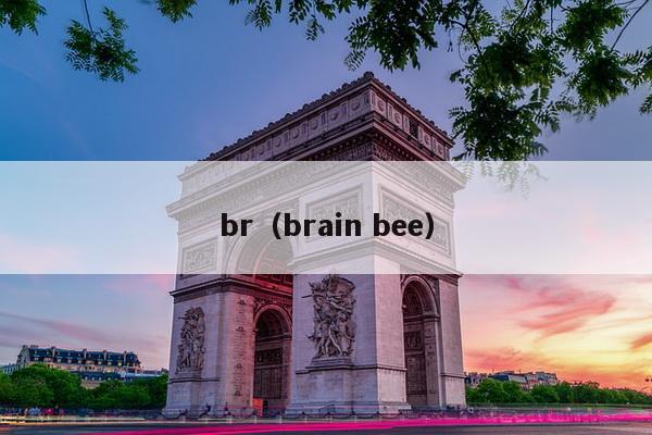 br（brain bee）