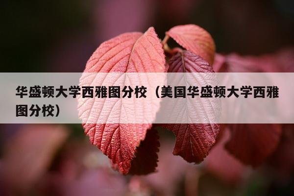 华盛顿大学西雅图分校（美国华盛顿大学西雅图分校）