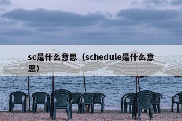 sc是什么意思（schedule是什么意思）