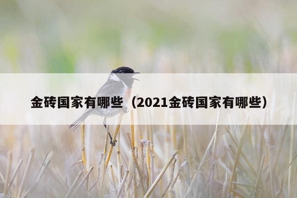 金砖国家有哪些（2021金砖国家有哪些）