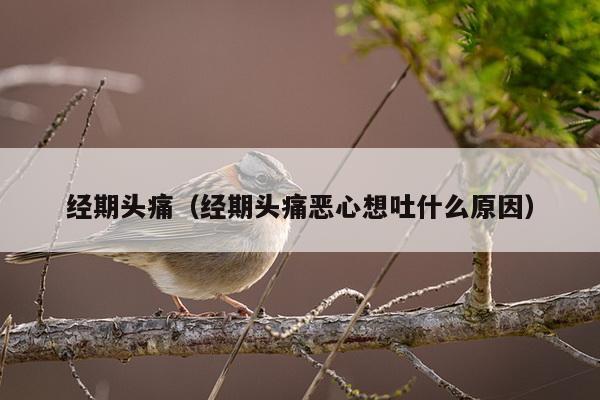 经期头痛（经期头痛恶心想吐什么原因）