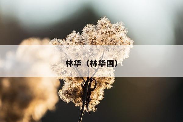 林华（林华国）