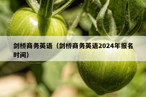 剑桥商务英语（剑桥商务英语2024年报名时间）