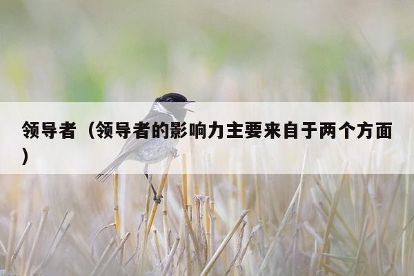 领导者（领导者的影响力主要来自于两个方面）