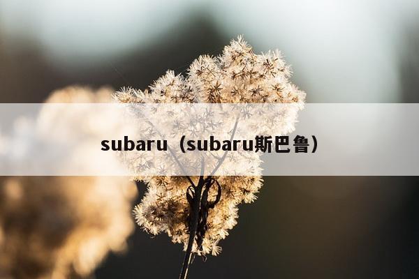 subaru（subaru斯巴鲁）