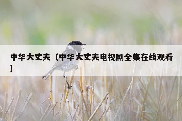 中华大丈夫（中华大丈夫电视剧全集在线观看）