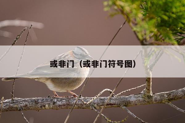 或非门（或非门符号图）