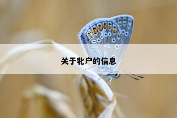 关于牝户的信息