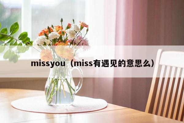 missyou（miss有遇见的意思么）