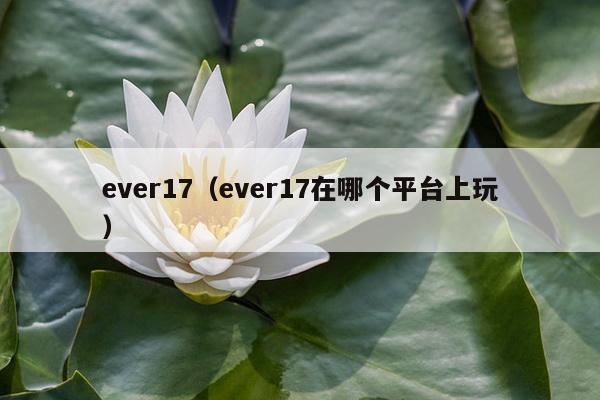 ever17（ever17在哪个平台上玩）