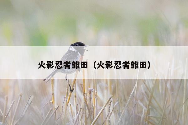 火影忍者雏田（火影忍者雏田）