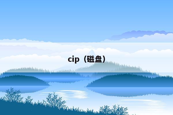 cip（磁盘）