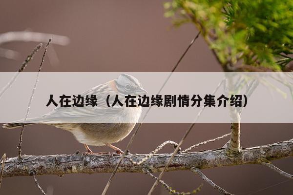 人在边缘（人在边缘剧情分集介绍）