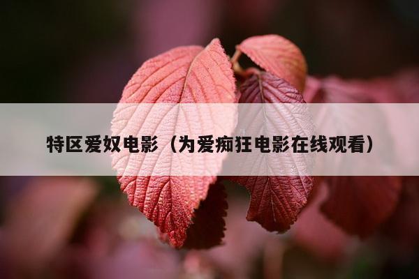 特区爱奴电影（为爱痴狂电影在线观看）